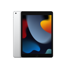 iPad 9th Gen - 256GB - Wifi - Silver - Grade A