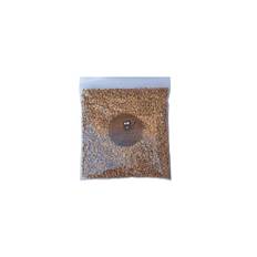 Cat Grass Seeds - Wheat by Cat FurNature