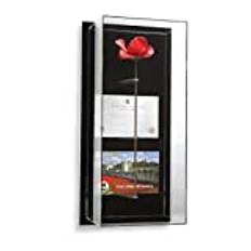 Tower Of London Poppy Display Case Wall Mounted