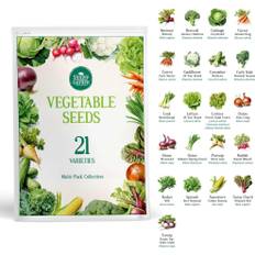 Simply Garden Grow Your Own Veg Seed Kits, 21 Vegetable Seeds for Planting UK, Seed Growing Kit, Broccoli, Carrot, Cucumber, Onion, Lettuce, Sweetco