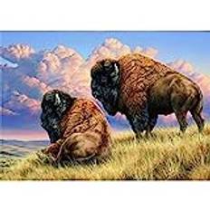 YSCOLOR 5D Diamond Painting Kits for Adults Animal Bison Buffalo Full Drill Round Diamond Art 30x40cm/11.8x15.8inch