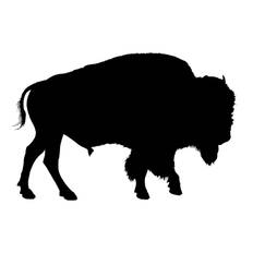 Bison stencil - re-usable 10 x 6.5 inch