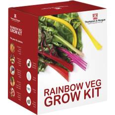 Rainbow Vegetable Seed Growing Kit Gift Box - 5 Vibrant Varieties of Veg to Grow; Carrot, Radish, Beetroot, Chard & Tomato Seeds by Thompson & Morgan