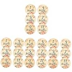 ibasenice 24 Pcs Milestone Card Product Newborn Monthly Milestone Discs Bebe Newborn Months Milestone Signs Pastille Photo Accessoire Babies Prop Circle Birth Journey Wood Baby Double Sided