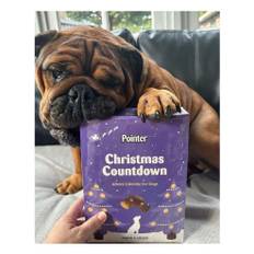 Pet Products - Christmas Advent Calendar, Tasty Carob and Cheese Flavoured Assorted Bones - Made in Britain, No Added Artificial Flavours, Naturally