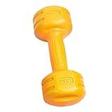Dumbbells Gym Home Exercise Dumbbell 1PC Workout Fitness Dumbbell Hand  Weights 1.5KG, Strength Training for Teens Women