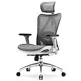 SIHOO M102C Ergonomic Mesh Office Chair, High Back desk chair with 3D  Armrests, Up&Down Lumbar Support, Swivel Computer Task Chair, Black