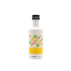 Whitley Neill - Mango & Lime Miniature - Gin 5cl