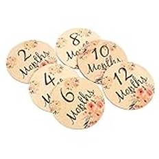 Didiseaon 6 Pcs Milestone Card Babies Circle Pastille Sign Birth Double Bassinet Month Bebe Prop Accessoire Items Stickers Milestones Journey Cd Cards Photo Product Baby Wooden Disc