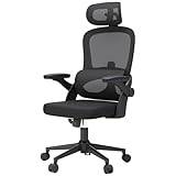 SIHOO Ergonomic Office Chair Mesh Desk Chair with Adjustable Lumbar Support  3D Armrests Breathable High Back Computer Chair (Black)