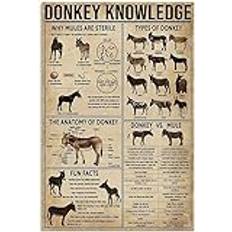 Donkey Knowledge Retro Wall Art,Donkey Tin Signs,Vintage Room Decor Home Kitchen Wall Decor 8x12 Inch