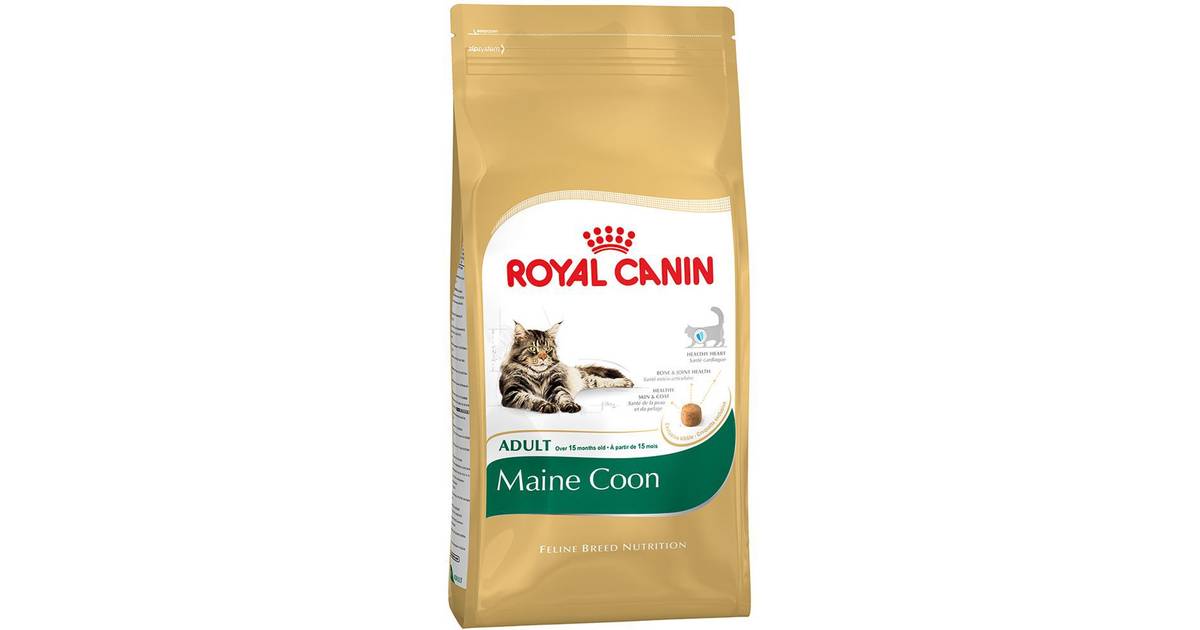 royal canin maine coon sterilised