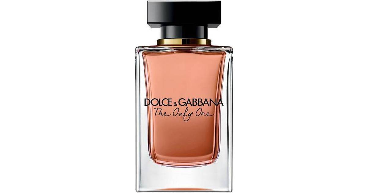 dolce & gabbana the only