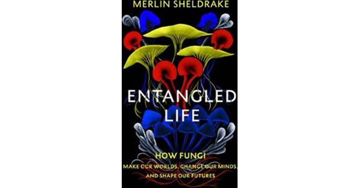 the entangled life