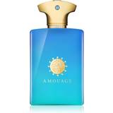 Amouage Figment Man EdP 100ml See the best prices