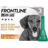 Frontline Top Spot VS Frontline Plus - CanadaVetExpress - Pet Care Tips