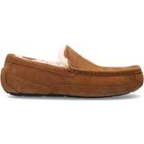 Mens ugg ascot slippers Compare see prices now