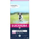 Eukanuba large breed puppy clearance 15kg