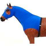 Shires Equestrian Horse Airflow Turnout Socks Teal Full : : Sports  & Outdoors