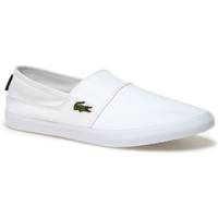 lacoste marice lace