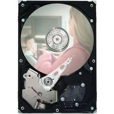 Seagate DB35 ST380215ACE 80GB