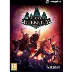 Pillars of Eternity: Hero Edition (PC)