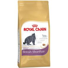 Royal Canin British Shorthair Adult 4kg