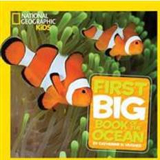 Little Kids First Big Book of the Ocean (First Big Book) (Hardcover, 2013)