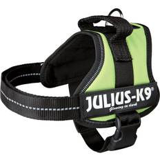 Julius-K9 Belt Green