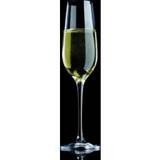 Maxwell & Williams Champagne Glasses Maxwell & Williams Vino Champagne Glass 18cl 6pcs