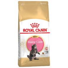 Royal Canin Maine Coon Kitten 10kg