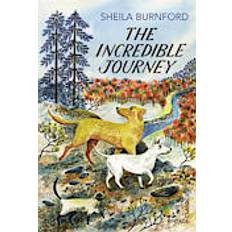 The Incredible Journey (Vintage Childrens Classics) (Paperback, 2013)