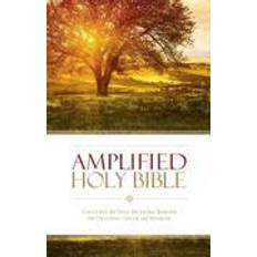 amplified holy bible (Hardcover, 2015)