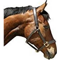 Kerbl Halters & Lead Ropes Kerbl Eco Foal