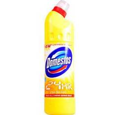 Domestos Citrus Fresh Bleach