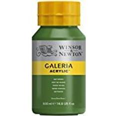 Winsor & Newton Galeria Acrylic Sap Green 500ml