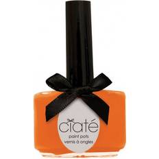 Ciaté The Paint Pot Nail Polish Speed Dial 13.5ml