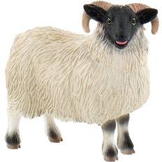 Bullyland Scottish Blackface Sheep 62718