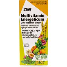 Salus Multivitamin Energeticum 250ml