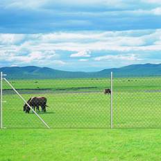 Green Chain-Link Fences vidaXL Chain Link Fence with Posts 100cmx15m