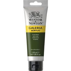 Winsor & Newton Galeria Acrylic Olive Green 120ml