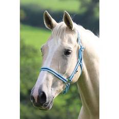 Shires Wessex Headcollar