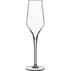 Luigi Bormioli Supremo Champagne Glass 24cl