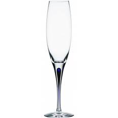 Orrefors Intermezzo Champagne Glass 26cl