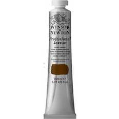 Winsor & Newton Professional Acrylic Burnt Umber 200ml