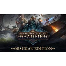 Pillars of Eternity II: Deadfire - Obsidian Edition (PC)