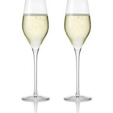 Aida Champagne Glasses Aida Passion Connoisseur Champagne Glass 26.5cl 2pcs
