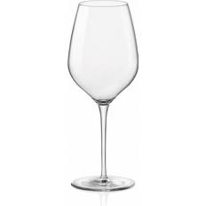 Exxent Glasses Exxent InAlto Red Wine Glass, White Wine Glass 43cl 24pcs
