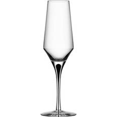 Orrefors Metropol Champagne Glass 27cl