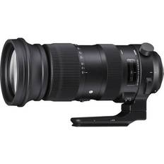 SIGMA Canon EF - Zoom Camera Lenses SIGMA 60-600mm F4.5-6.3 DG OS HSM Sports for Canon